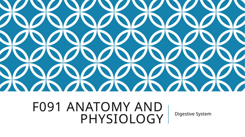 Health and Social Care OCR AAQ F091 Exam Topic 3 Digestive System Resources