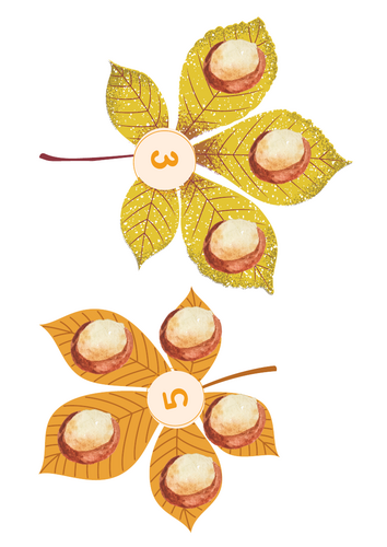 Conker counting on Autumn Leaves 1-5