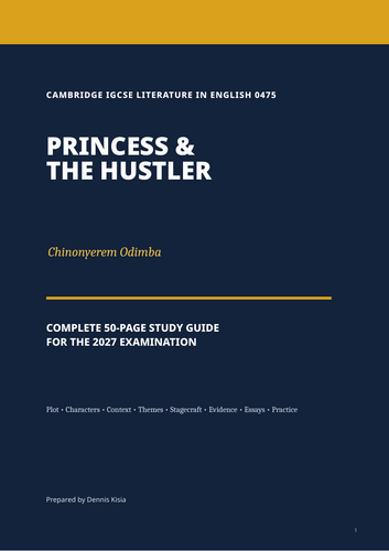 comprehensive Princess & The Hustler study guide.