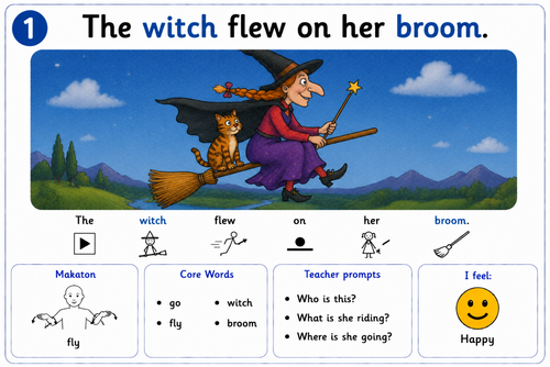 Room on the Broom  | Visual Support Reading Resource