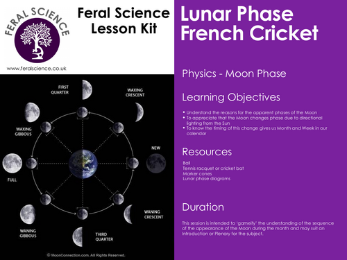 Moon Phase French Cricket