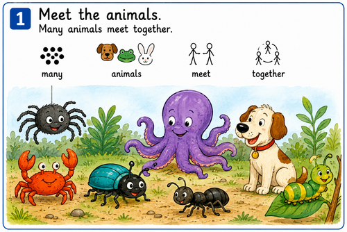How Many Legs? by Kes Gray & Jim Field – Symbol Adapted Book