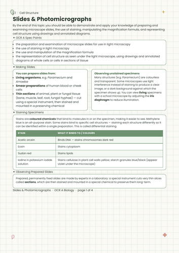 Slides & Photomicrographs Revision Guide: Staining, Slide Preparation & Magnification (OCR A Biology