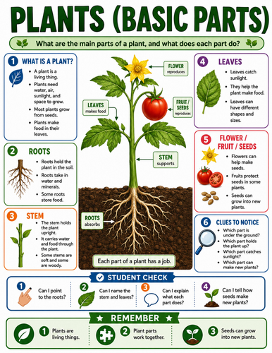 Plants I Educational Poster
