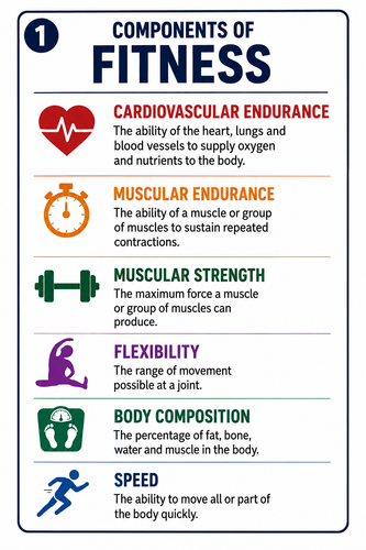 Components of Fitness Poster