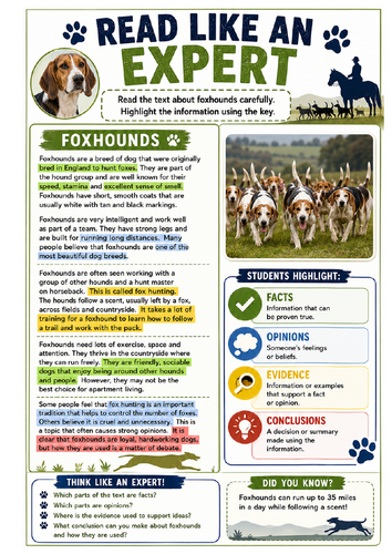 Read Like an Expert – Foxhounds | Reading Comprehension & Critical Reading Worksheet