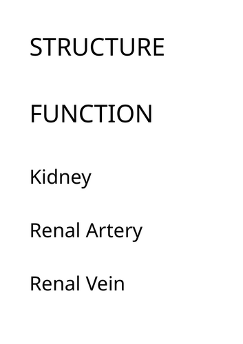 Excretory System