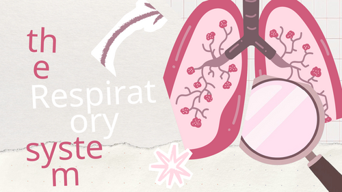 Respiratory System