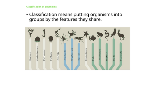 IGCSE BIOLOGY CONCEPT AND USES OF CLASSIFICATION SYSTEMS