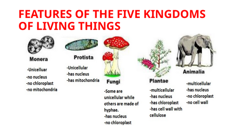 IGCSE BIOLOGY FEATURES OF ORGANISMS