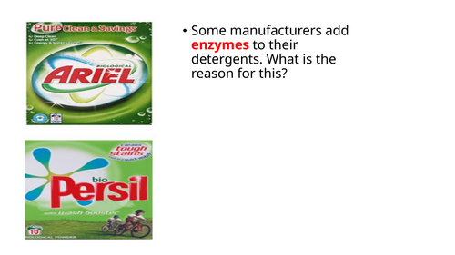 IGCSE BIOLOGY ENZYMES