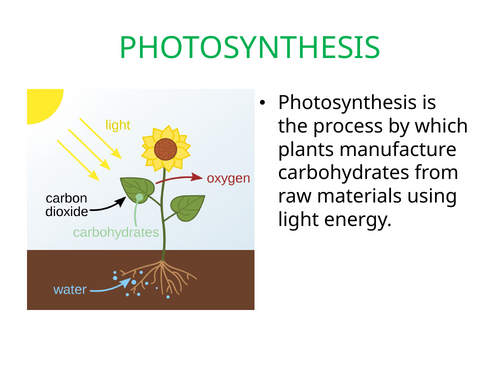 IGCSE BIOLOGY PLANT NUTRITION