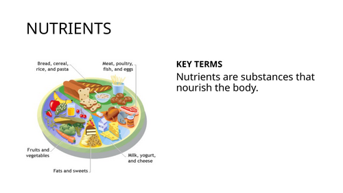 IGCSE BIOLOGY HUMAN NUTRITION