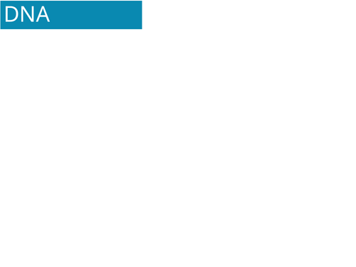 Biological molecules bundle of lessons