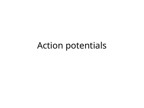 Lessons - synapses, action &resting potential