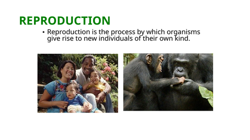IGCSE BIOLOGY REPRODUCTION