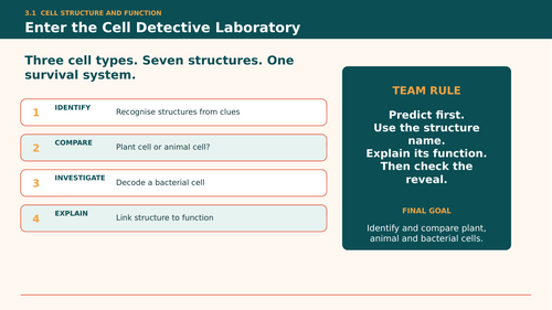 Marine Science 0697 Chapter 3 Mind Booster Activities and Interactive Revision Bundle