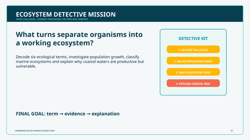 Marine Science 0697 Chapter 5 Mind Booster Activities and Interactive Revision Bundle