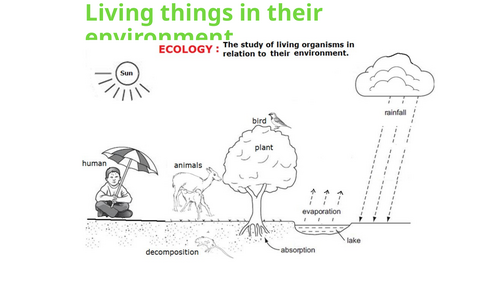 IGCSE BIOLOGY ORGANISMS AND THEIR ENVIRONMENT