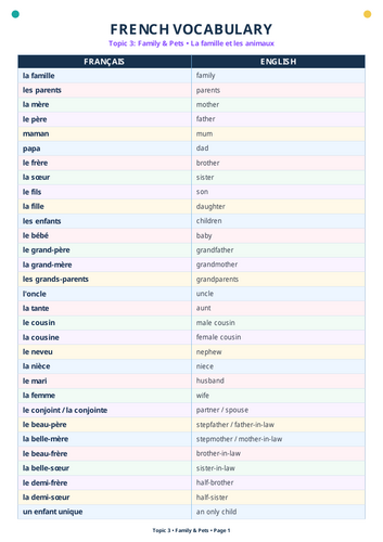 Colourful French Family and Pets vocabulary resource