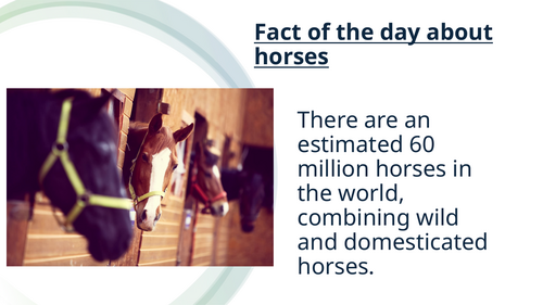 Facts of the day about a horse