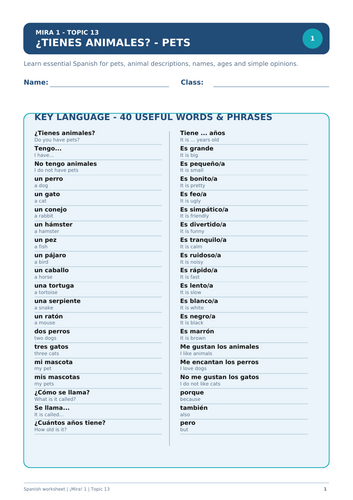 Spanish worksheet on pets and animals