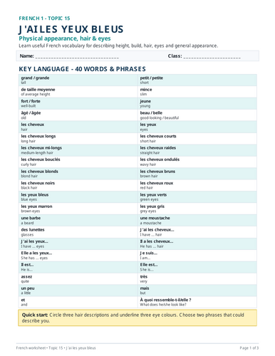 French worksheet covering physical appearance, hair and eye descriptions