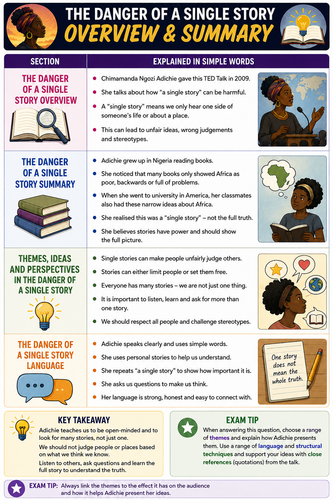 DRAFT The Danger of a Single Story – GCSE English UDL & SEN Adapted Resource