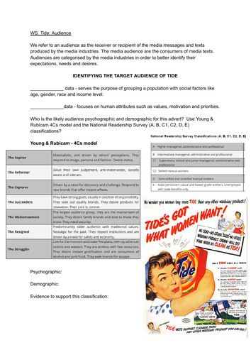 TIDE Audience Worksheet
