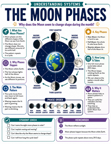The Moon Phases I Infographic