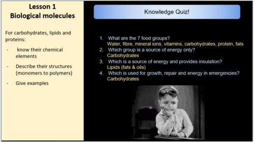 Edexcel IGCSE Biology 9–1: Topic 2c Biological Molecules & Enzymes – 6 Complete Lessons