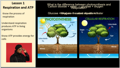 Edexcel IGCSE Biology 9–1 Topic 2f: Respiration – 3 Complete Lessons (30+ Slides)
