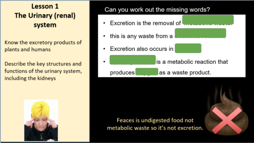 Edexcel IGCSE Biology 9–1 Topic 2i: Excretion – Kidneys & Osmoregulation – 4 Lessons (50+ slides)