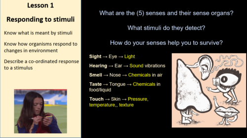 Edexcel IGCSE Biology 9–1 Topic 2j: Co-ordination & Response  Humans & Plants  9 Lessons 120+ slides