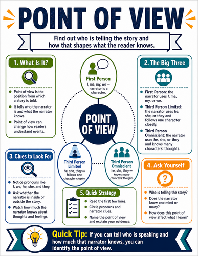 Point of View I Infographic