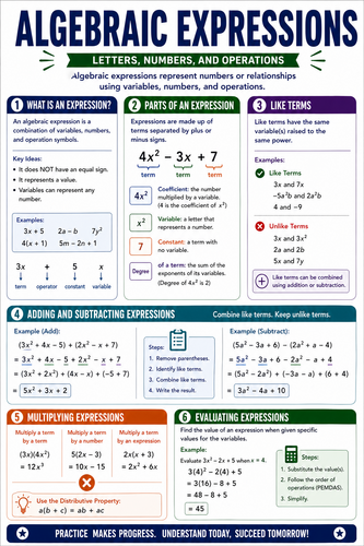 Algebraic Expressions I High School I Infographic