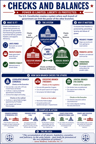 Checks and Balances I High School I Infographic
