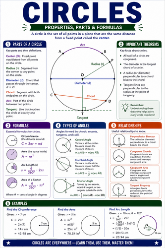 Circles I High School I Infographic