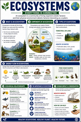 Ecosystems I High School I Infographic