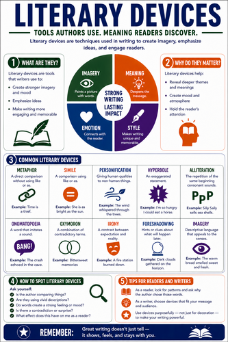 Literary Devices I High School I Infographic