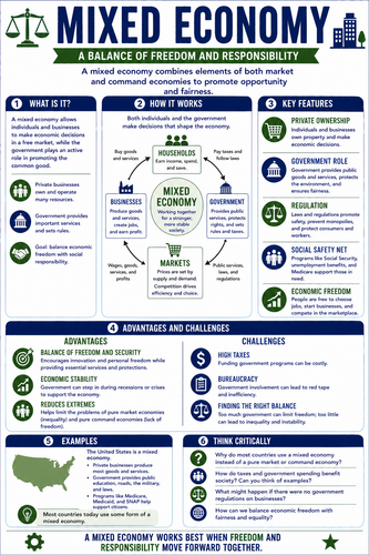 Mixed Economy I High School I Infographic