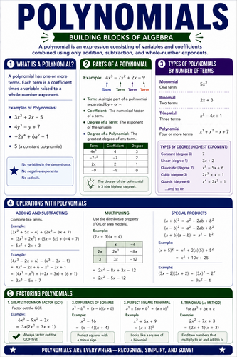 Polynomials I High School I Infographic