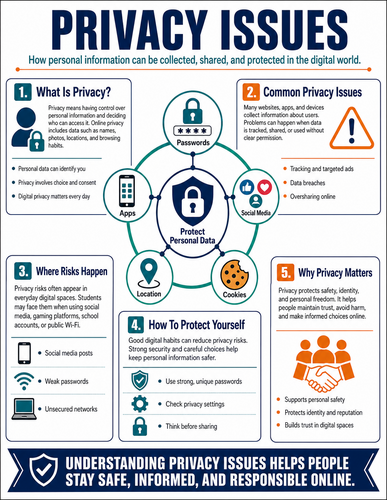 Privacy Issues I High School I Infographic