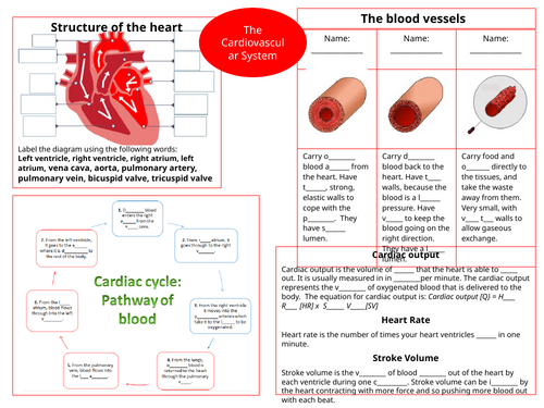 Cambridge IGCSE PE (0413) - Unit 1: The Cardiovascular System Differentiation Pack