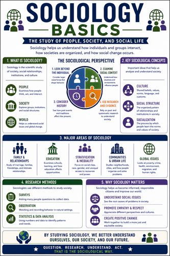 Sociology Basics I High School I Infographic