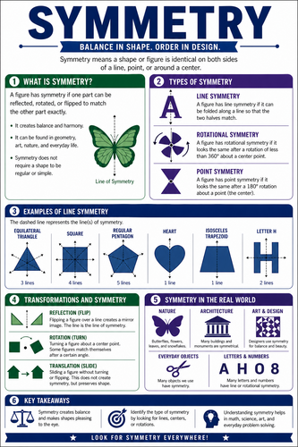 Symmetry I High School I Infographic