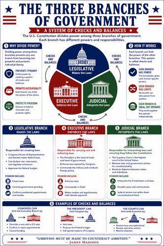 The Three Branches of Government I High School I Infographic