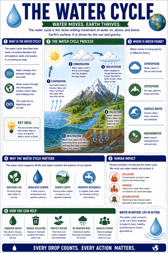 The Water Cycle I High School I Infographic