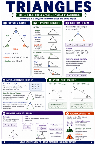 Triangles I High School I Infographic