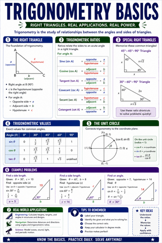 Trigonometry Basics I High School I Infographic